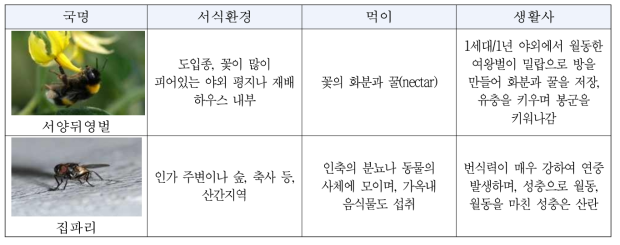 탐색된 벌목 및 파리목의 생태정보