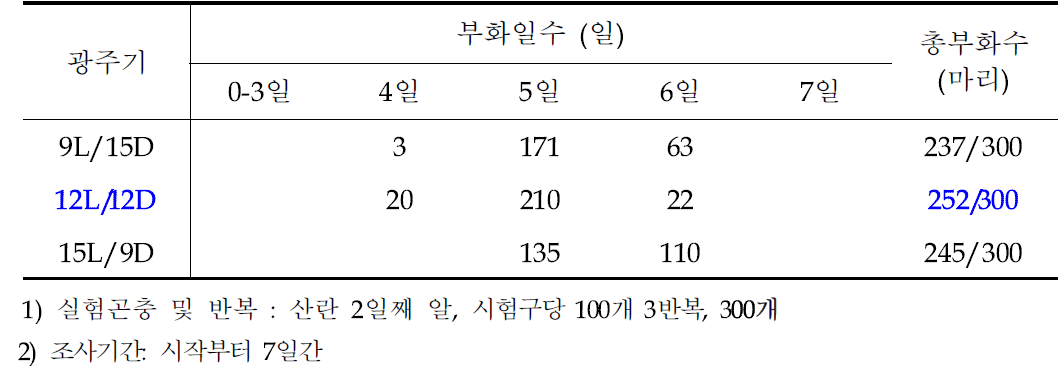 광주기에 따른 아메리카왕거저리의 일별 부화수