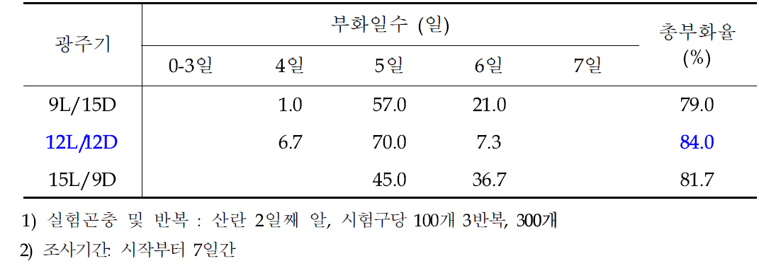 광주기에 따른 아메리카왕거저리의 일별 부화율