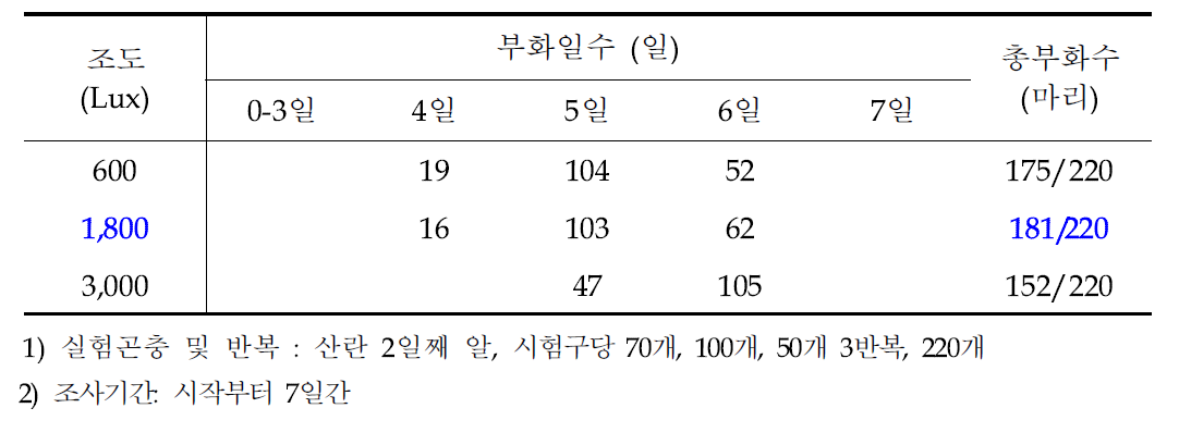 조도에 따른 아메리카왕거저리의 일별 부화수