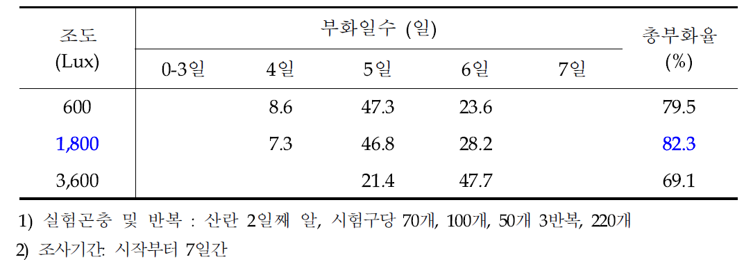 조도에 따른 아메리카왕거저리의 일별 부화율