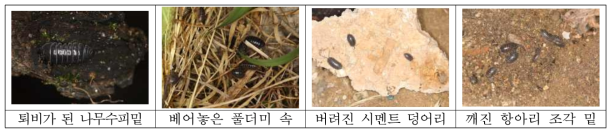 육상 등각류의 조사된 서식처