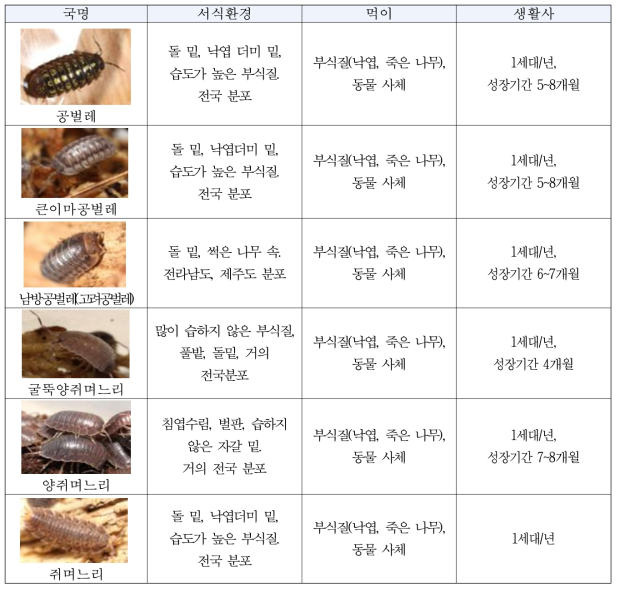 채집된 육상등각류의 관찰환경과 생태