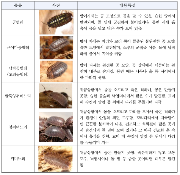 채집된 육상등각류의 관찰된 행동특성