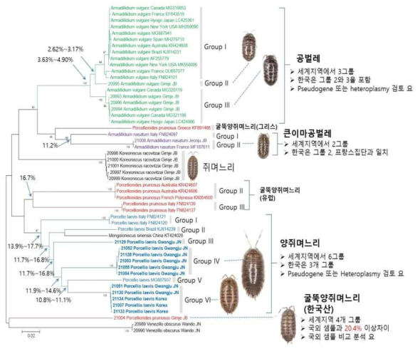 등각류 6종에 대한 국내외 샘플의 DNA 바코드 분석 결과