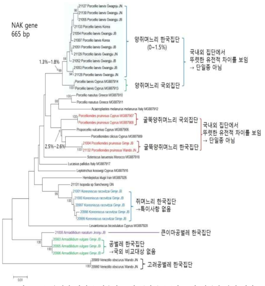 NAK유전자 마커를 이용한 국내 등각류 6종과 국외 샘플의 분석 결과
