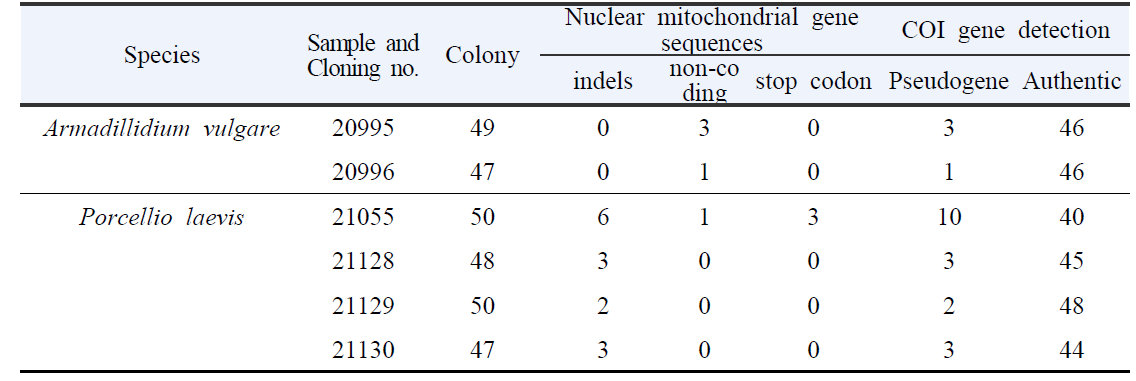 공벌레와 양쥐며느리의 개체별 COI유전자 PCR증폭산물 50개 clony 분석 현황