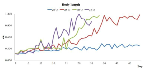 외미거저리의 온도별 체장 비교