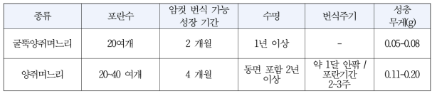 양쥐며느리류에서 관찰된 사육 생태