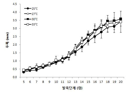 온도에 따른 아메리카왕거저리 유충의 령별 두폭