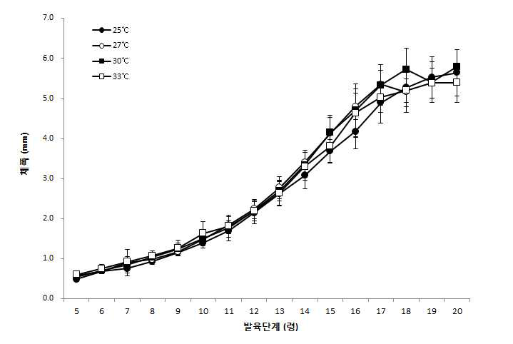 온도에 따른 아메리카왕거저리 유충의 령별 체폭