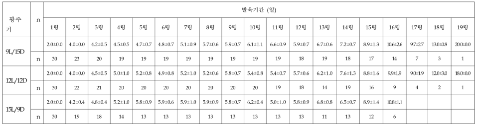 광주기별 아메리카왕거저리의 유충 발육기간