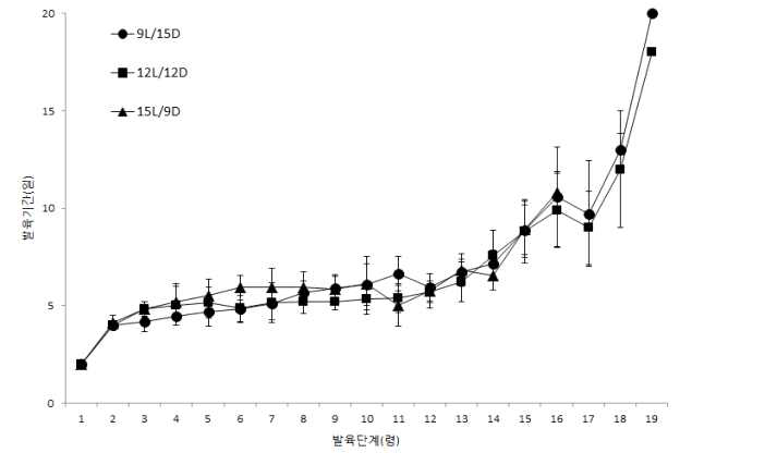 광주기별 아메리카왕거저리의 유충 발육기간