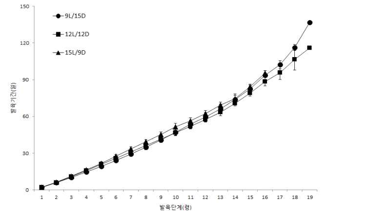 광주기별 아메리카왕거저리 유충의 누적 발육기간