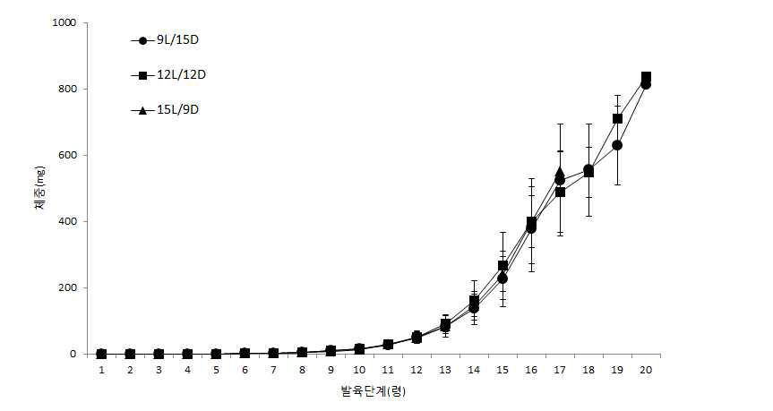 광주기별 아메리카왕거저리의 유충의 령별 체중