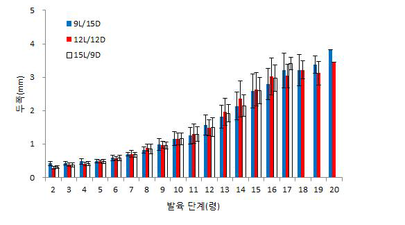 광주기별 아메리카왕거저리의 유충의 령별 두폭