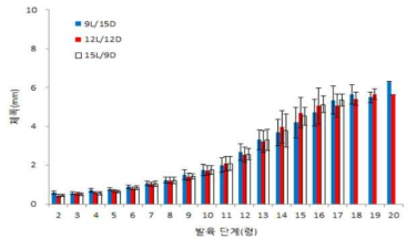 광주기별 아메리카왕거저리의 유충의 령별 체폭