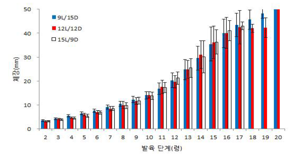 광주기별 아메리카왕거저리의 유충의 령별 체장