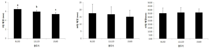 광주기별 아메리카왕거저리의 유충의 5령, 10령, 15령의 체장 비교 1) 통계분석: . 5령: oneway ANOVA test: F(2,50)=4.903, p=0.0001 . 10령: oneway ANOVA test: F(2,49)=0.315, p=0.732 . 15령: oneway ANOVA test: F(2,47)=0.093, p=0.911