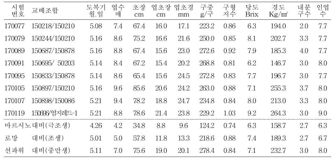 2018년 선발 유망 F1계통 생육 및 수량특성