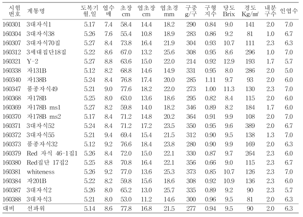 중만생계 화분친 유망계통 생육 및 수량특성(2017년)