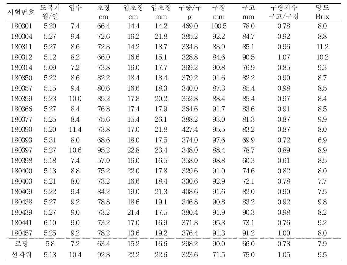 2019년 선발 유망 화분친 계통들의 생육 및 수량특성