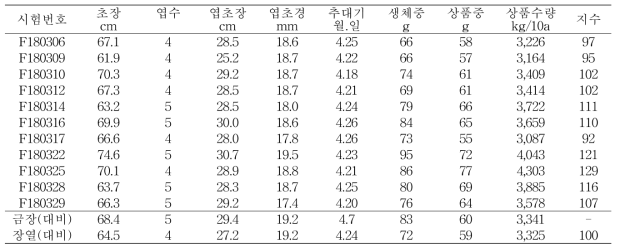 유망 F1계통 생육 및 수량특성(2019)