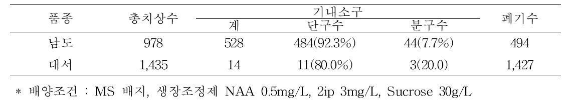 품종별 기내소구 형성수