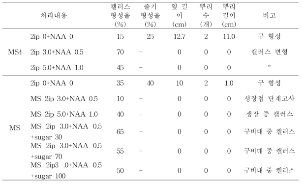 마늘 배지, 생장조정제 종류 및 농도별 효과