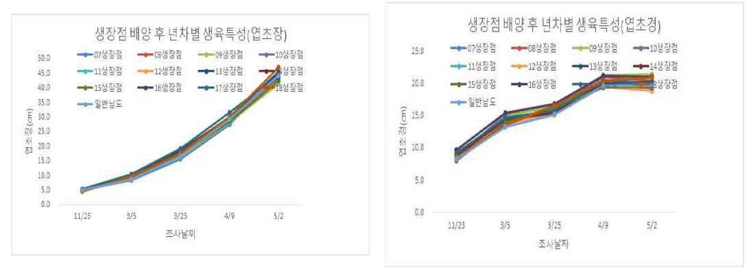 마늘 생장점 배양 유래 년차별 생육특성(엽초경 및 엽초장)