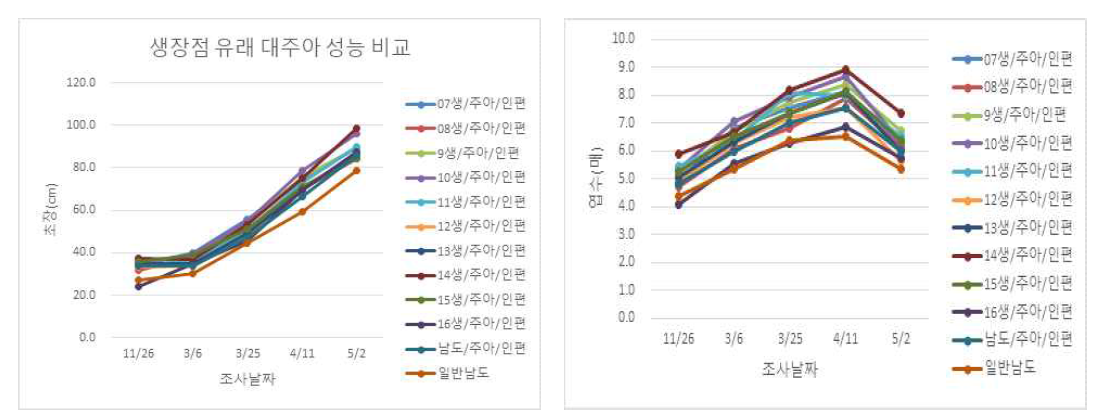 생장점 마늘 주아 누대재배 초장 및 엽수특성