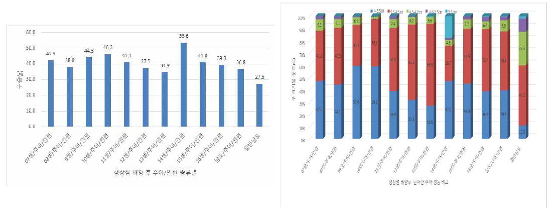 생장점 마늘 주아 누대재배 구중 및 구 크기별 분포