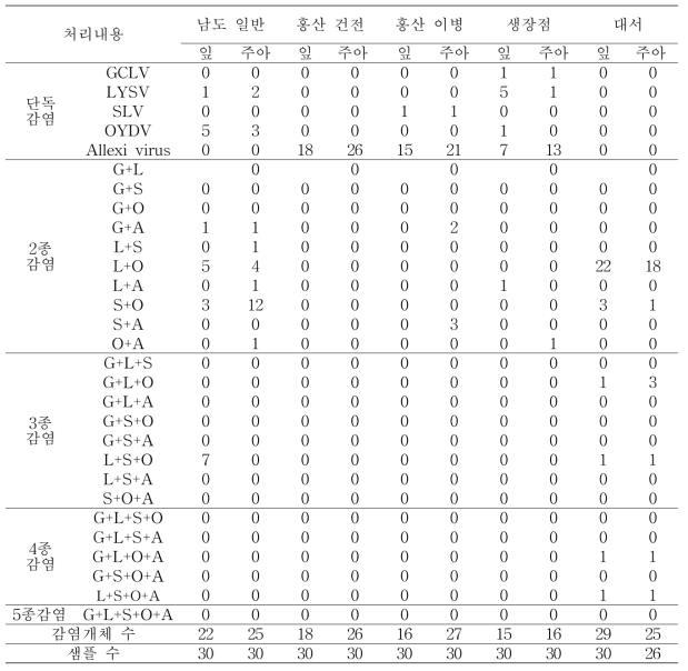 생장점 마늘 바이러스 검정 특성