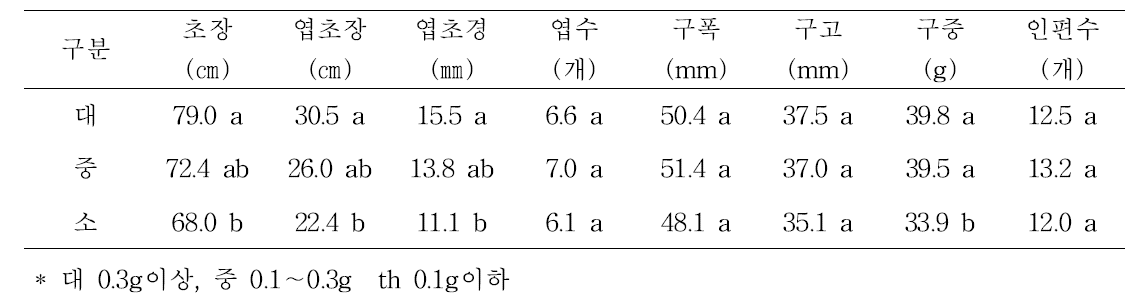 대서마늘 주아 크기별 생육 및 구 특성