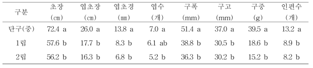 대서마늘 통마늘 및 분구인편수별 생육 및 구 특성