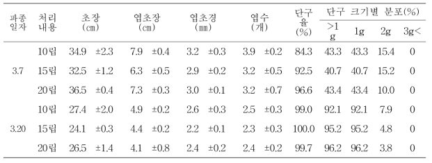 대서 품종 주아 재배를 위한 파종시기 및 립수별 단구 특성