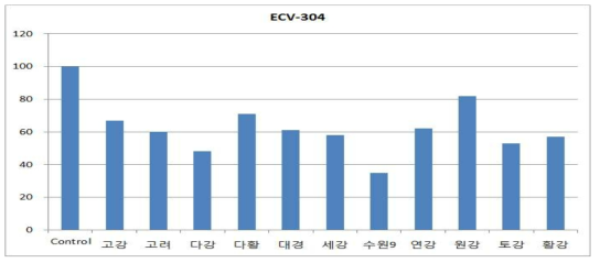 품종별 혈관내피세포(ECV-304)의 생존율 검정