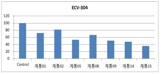 계통별 혈관내피세포(ECV-304)의 생존율 검정