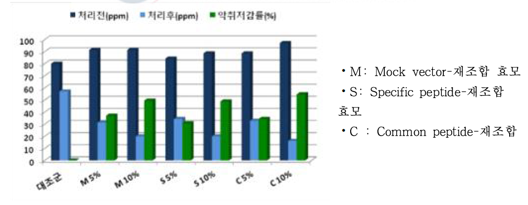 재조합 효모 유래 엔도솜 추출물의 암모니아 가스 저감 효과-5% 및 10%