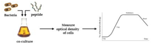 선별된 펩타이드에 의한 미생물 성장에 미치는 영향 측정법에 대한 모식도