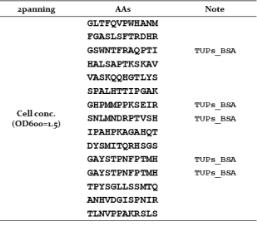 Whole cell을 이용한 펩타이드 스크리닝 2panning 결과