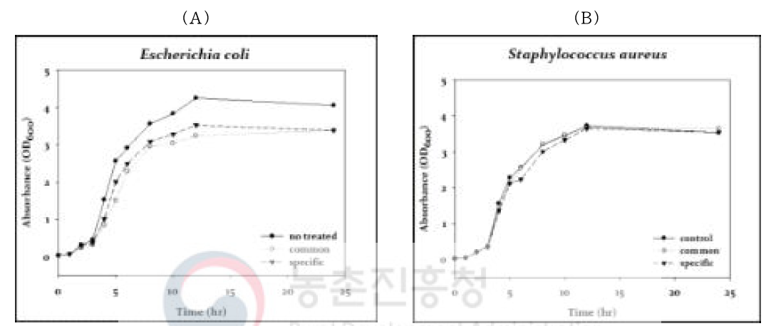 펩타이드의 성장억제제로서의 가능성 확인을 위한 성장곡선 확인; (A)대장균에 대한 펩타이드 처리, (B)황색포도상구균에 대한 펩타이드 처리