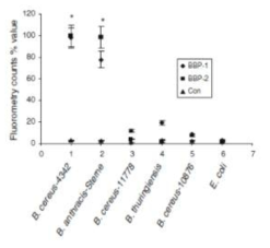 박테리아에 결합하는 BBP-1 및 BBP-2의 형광 측정