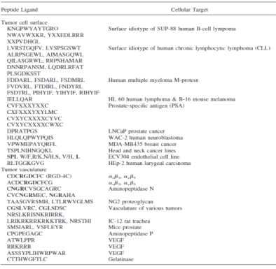 표적 세포에 따른 펩타이드 리간드