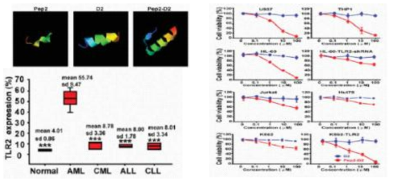 Pep2, D2, Pep2-D2의 3D 구조 백혈병 세포의 생존율 확인
