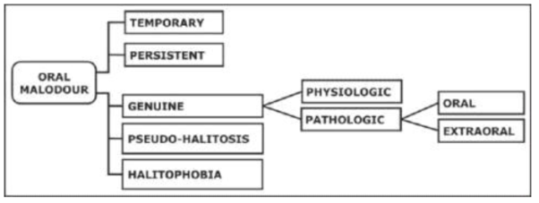 구강 악취의 분류