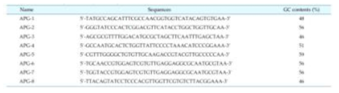 Nucleotide sequences of aptamers specific to Porphyromonas gingivalis