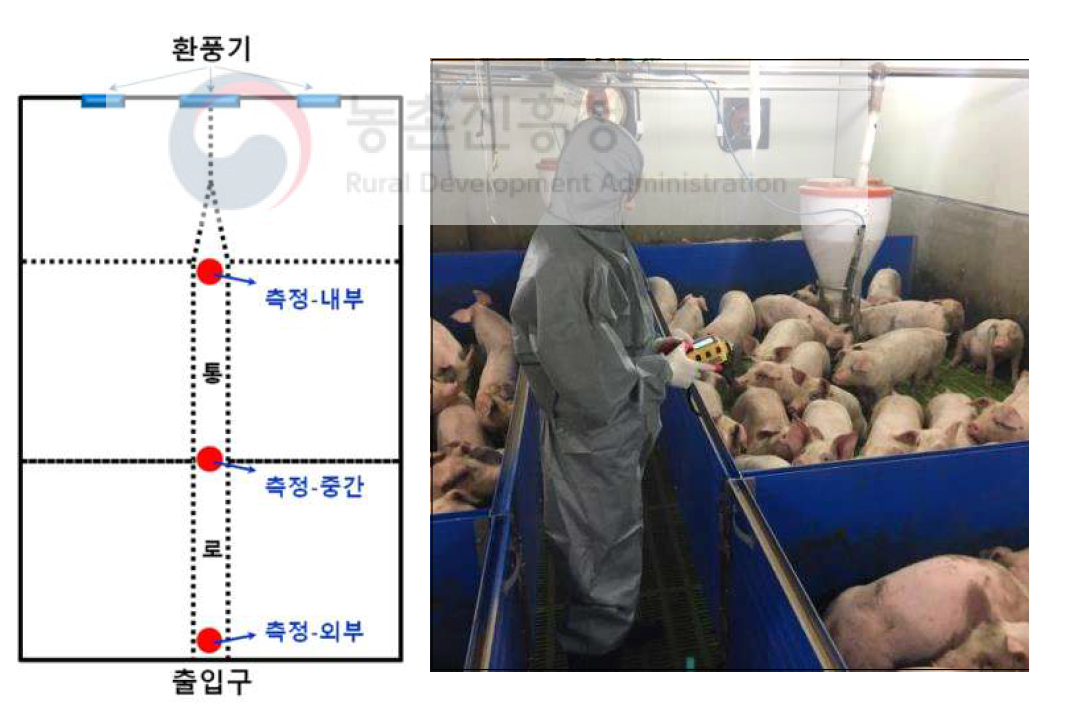 각 돈방의 구조 및 악취가스 농도 측정