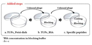 수정된 Phage display의 subtractive bio-panning 과정