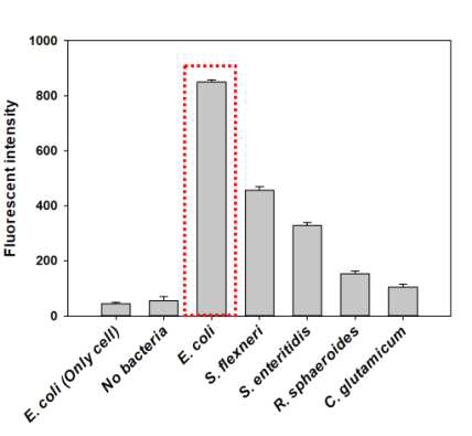 선별된 펩타이드에 대한 binding affinity test 결과